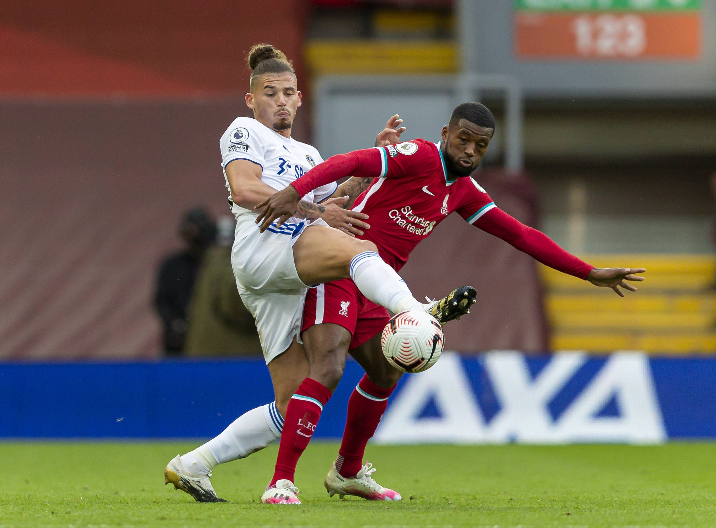 近年来愈发 近年来愈发